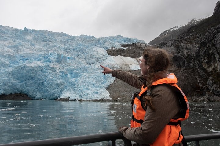 Navegación: Ballenas, Pingüinos y Glaciares - Imagen 4