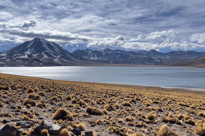 Lagunas altiplánicas y Piedras Rojas - Imagen 2