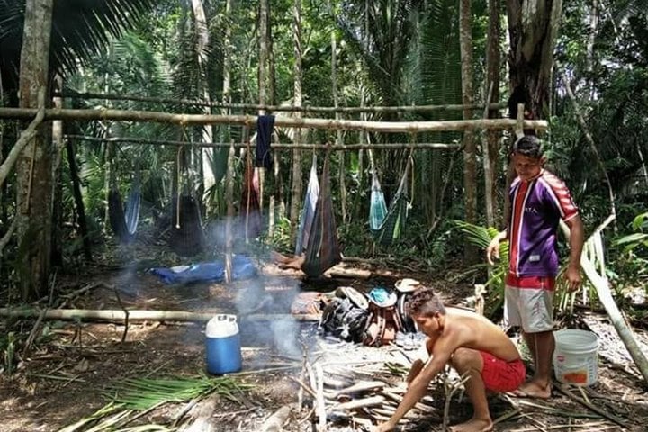 Selva amazónica y Anavilhanas en 8 horas - Imagen 2