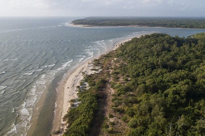 Isla Marajó - 2 días 1 noche - Imagen 2