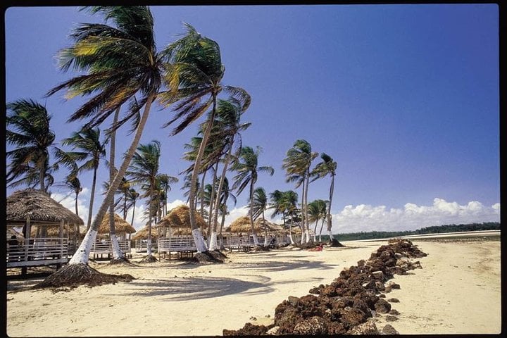 Isla Marajó - 2 días 1 noche - Imagen 3