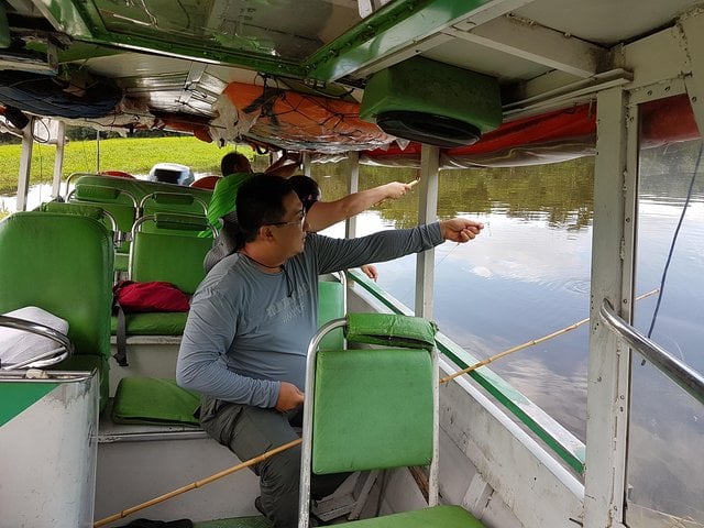 Pesca de piranhas e jacarés no Solimões - Imagen 4