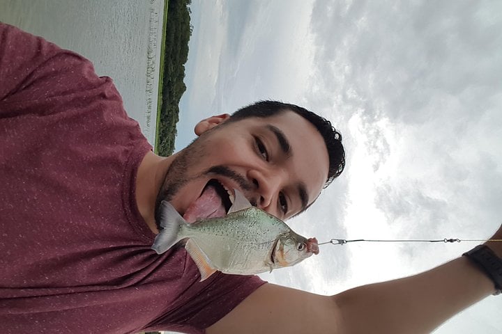 Pesca de piranhas e jacarés no Solimões - Imagen 3