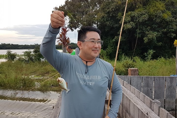 Pesca de piranhas e jacarés no Solimões - Imagen 2