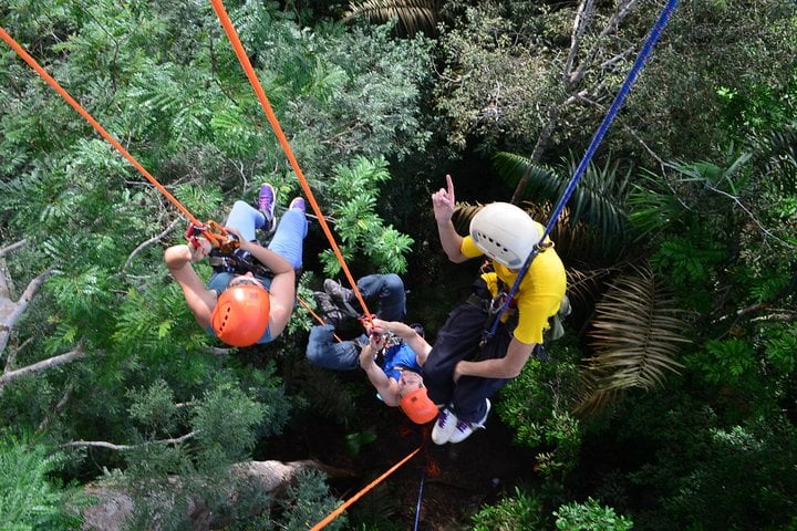 Escalada de árboles en el Amazonas - Imagen 4