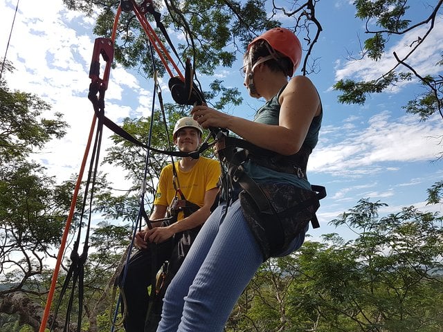 Escalada de árboles en el Amazonas - Imagen 2