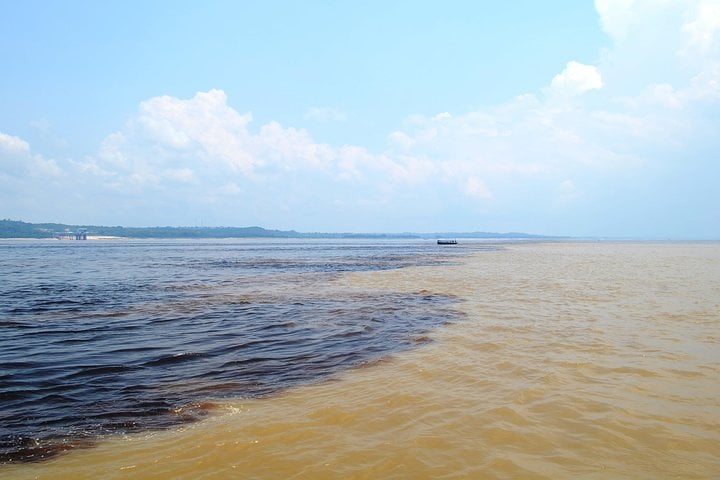 Excursión de medio día por el río Negro - Imagen 2