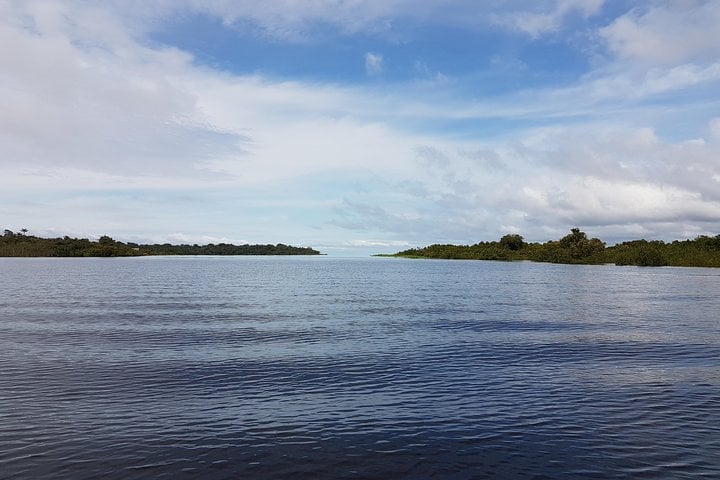 Buenos días, Amazonas: 1 noche en la selva - Imagen 3