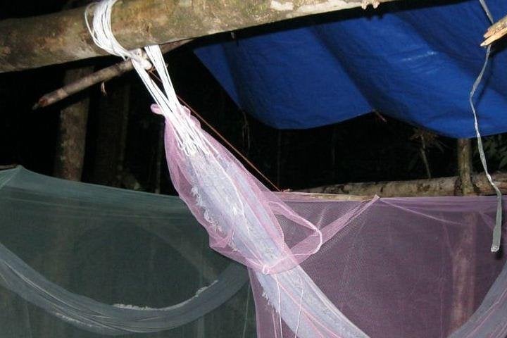 Tour de aventura de 3 días en el Amazonas - Imagen 2