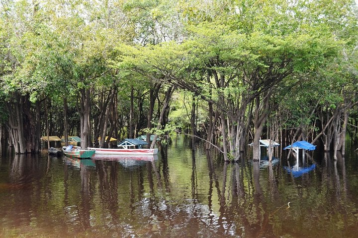 Tour de aventura de 6 días en el Amazonas - Imagen 2