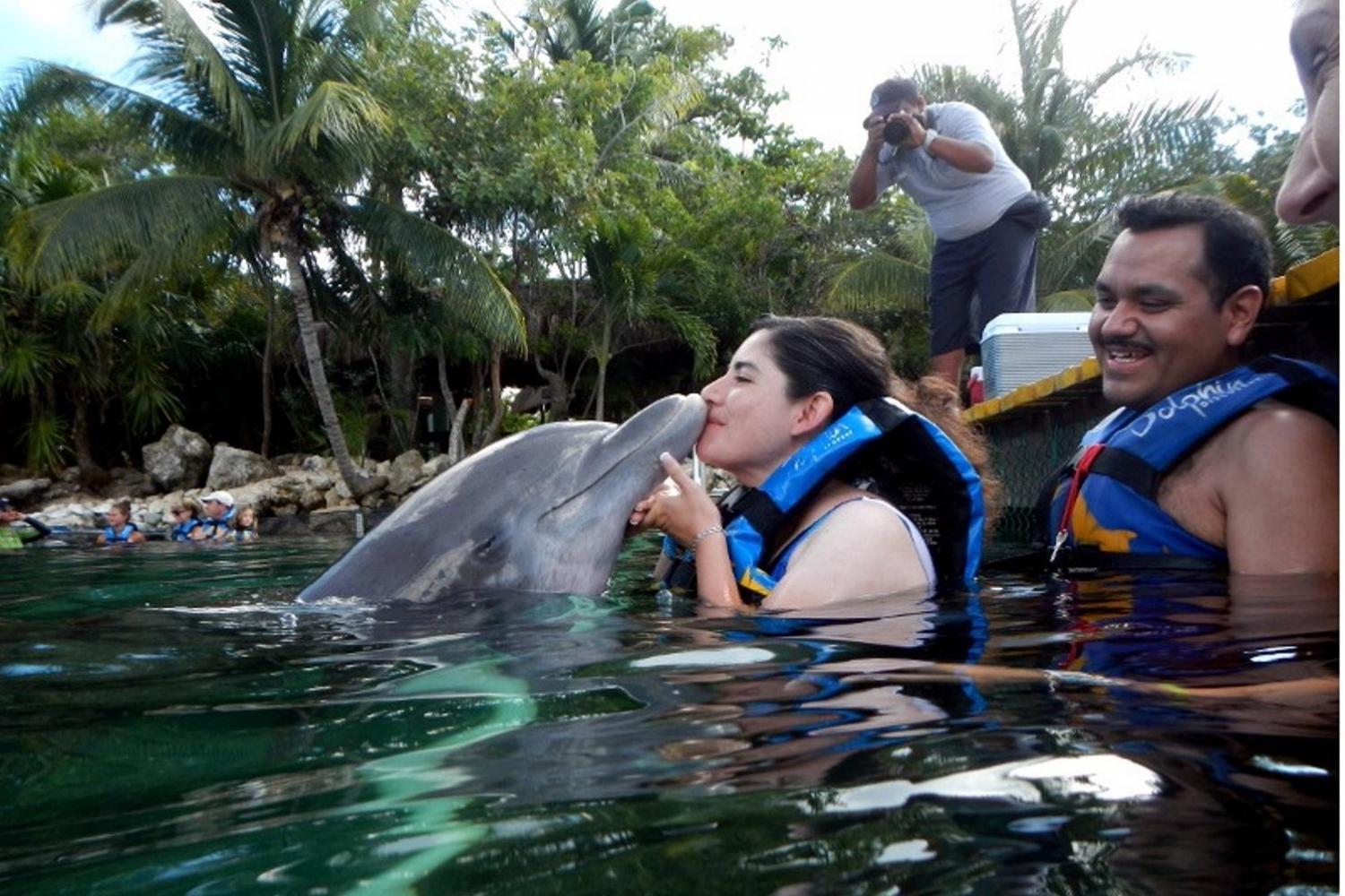 Dolphin Encounter en Puerto Aventuras - Imagen 4