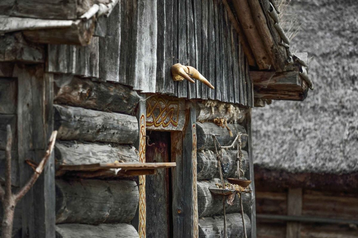 Essentials Pass: 3 atracciones - Imagen 2