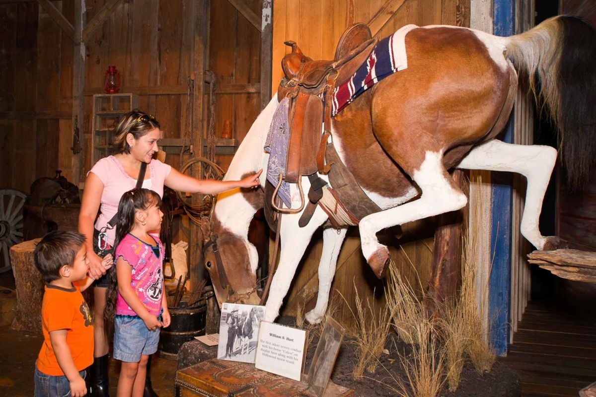 San Antonio Essentials: 3 atracciones - Imagen 4