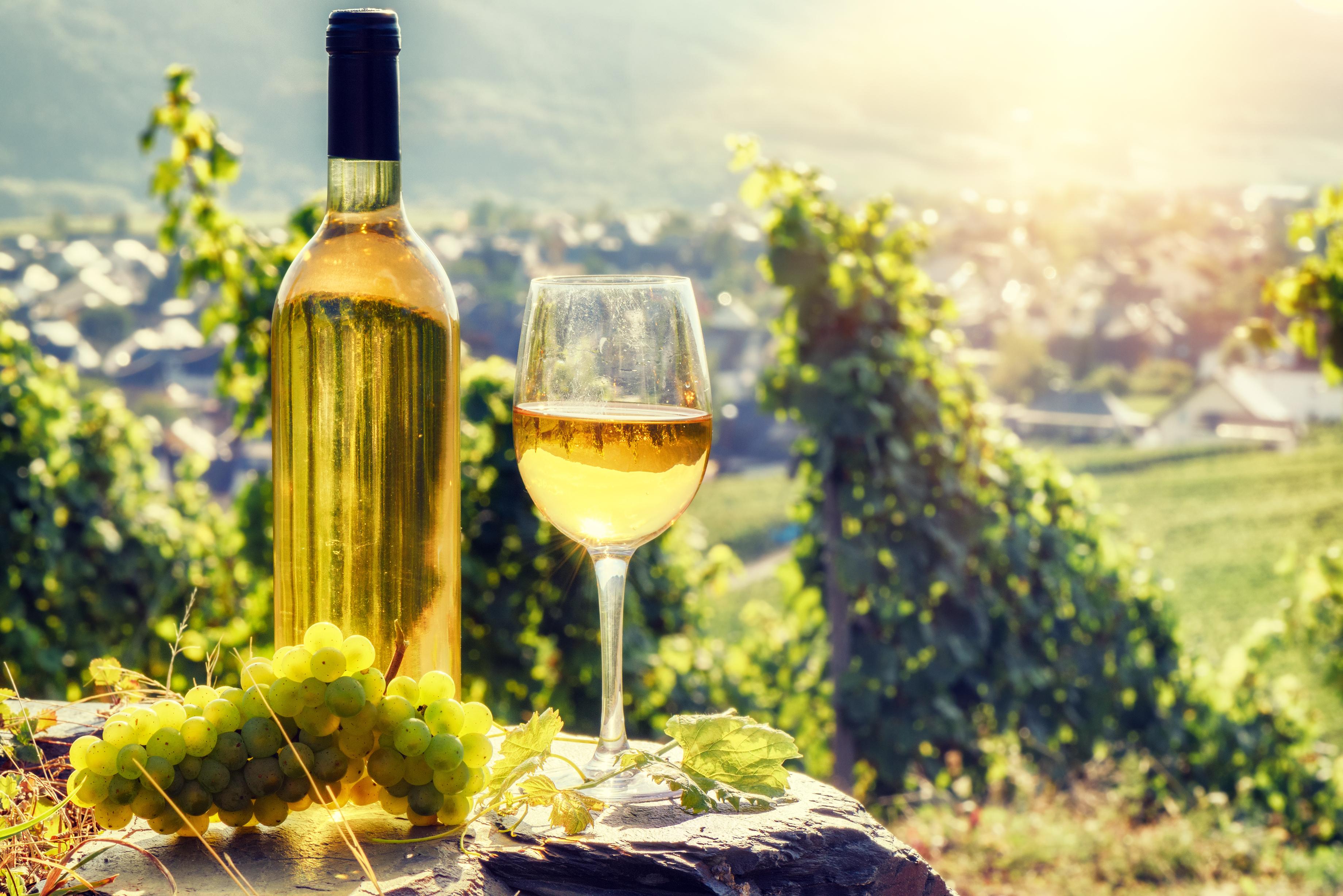 Bodegas rumanas desde Bucarest - Imagen 2
