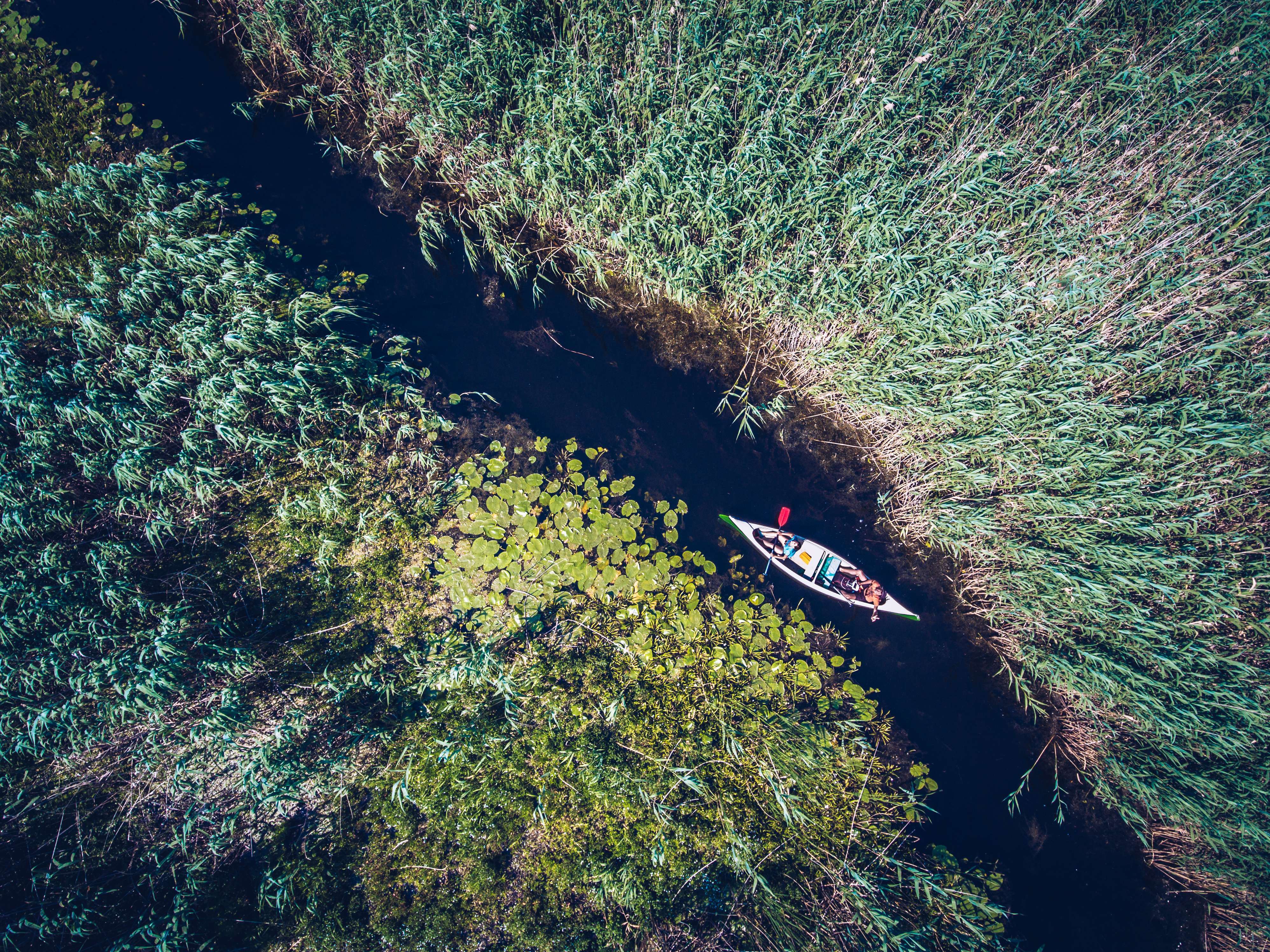 Día completo en el Delta del Danubio - Imagen 2