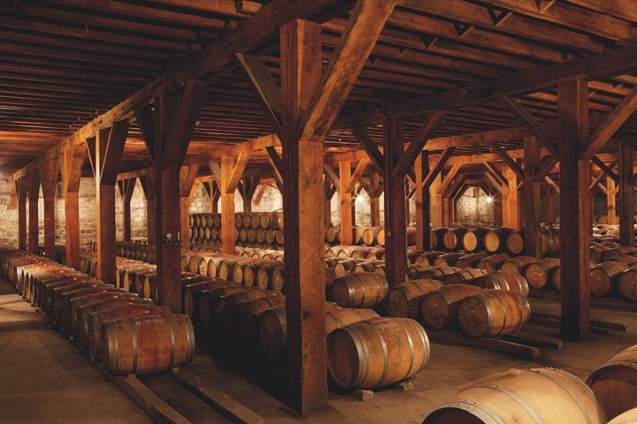 Santa Rita: visita premium e degustação - Imagen 2