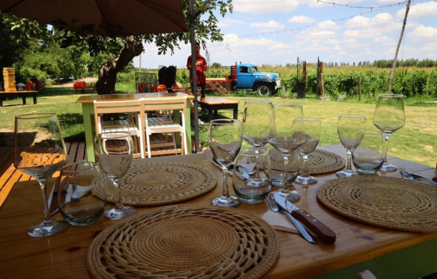 Mendoza Vineyards with Lunch - Imagen 3