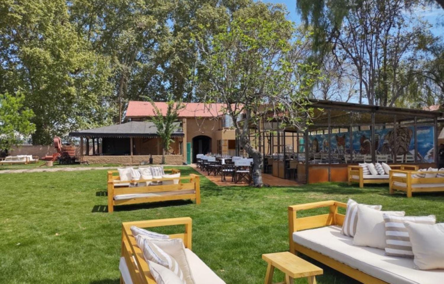 Mendoza Vineyards with Lunch - Imagen 2