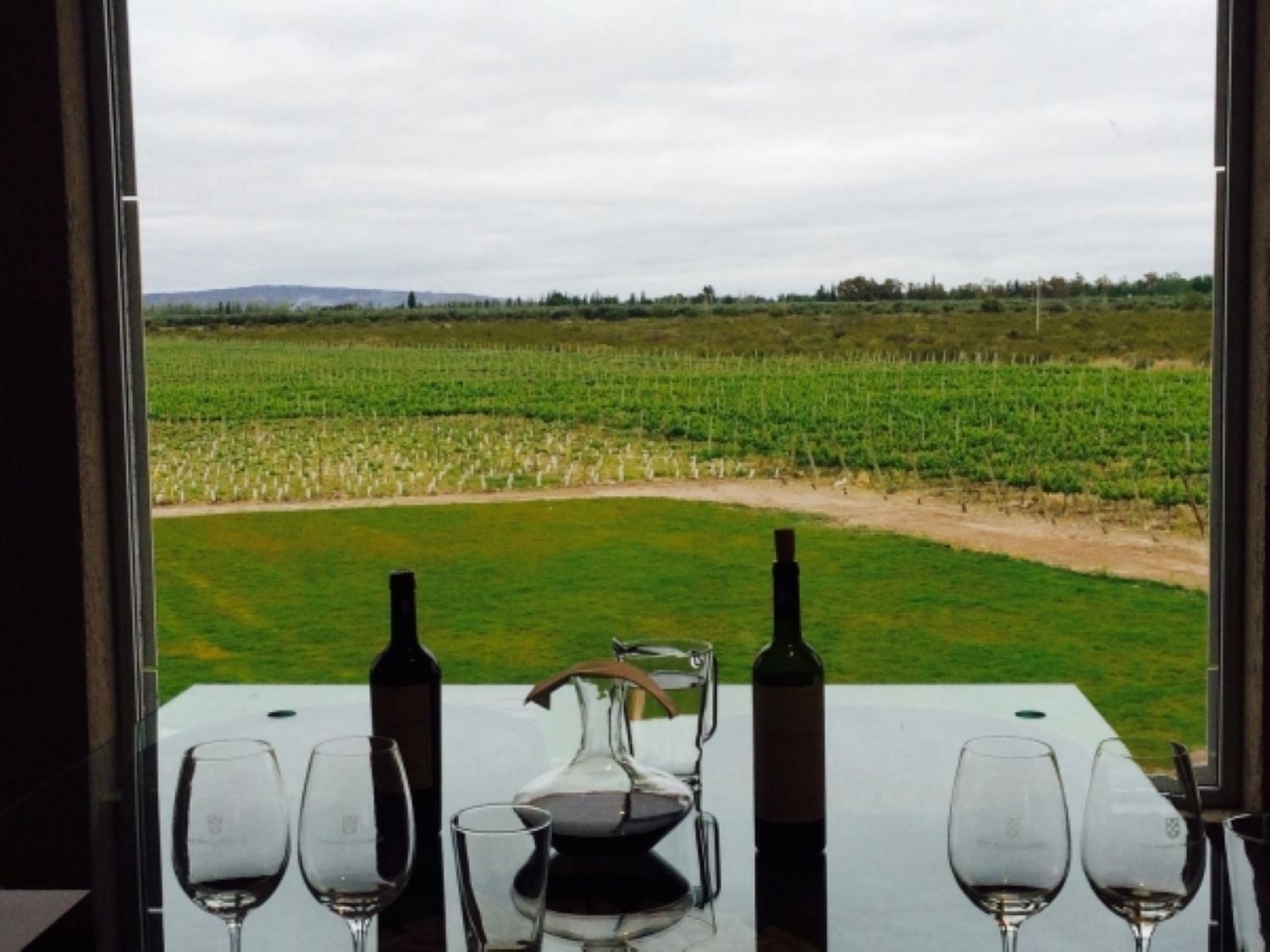 Mendoza Vineyards with Lunch - Imagen 4