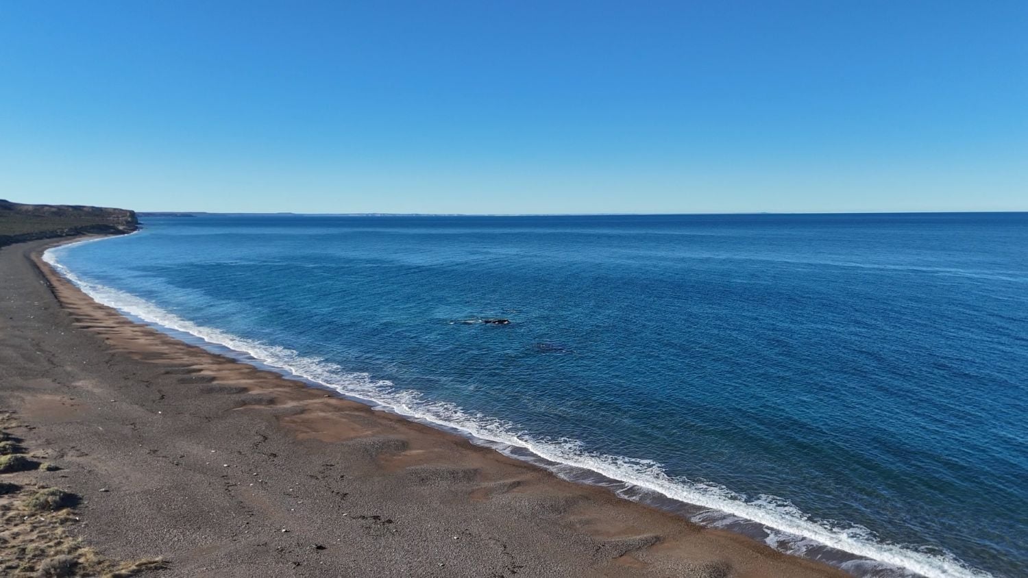 Bahía de las Ballenas en Península Valdés - Imagen 3