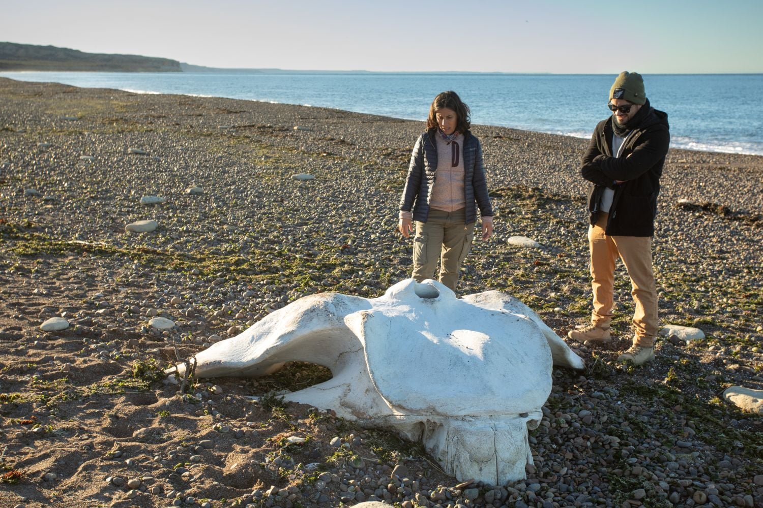 Bahía de las Ballenas en Península Valdés - Imagen 4