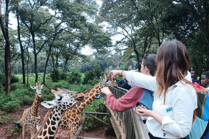 Safari en Nairobi con Wi-Fi gratuito - Imagen 4