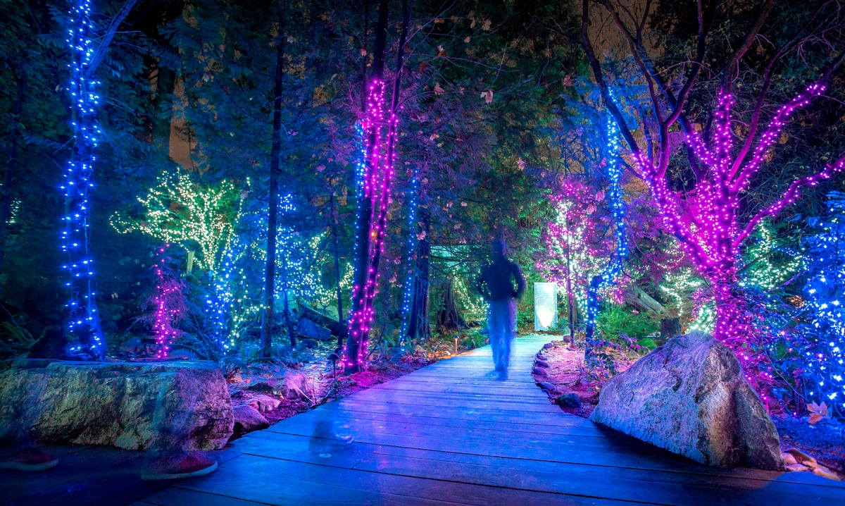 Luces festivas por Vancouver y Capilano - Imagen 4