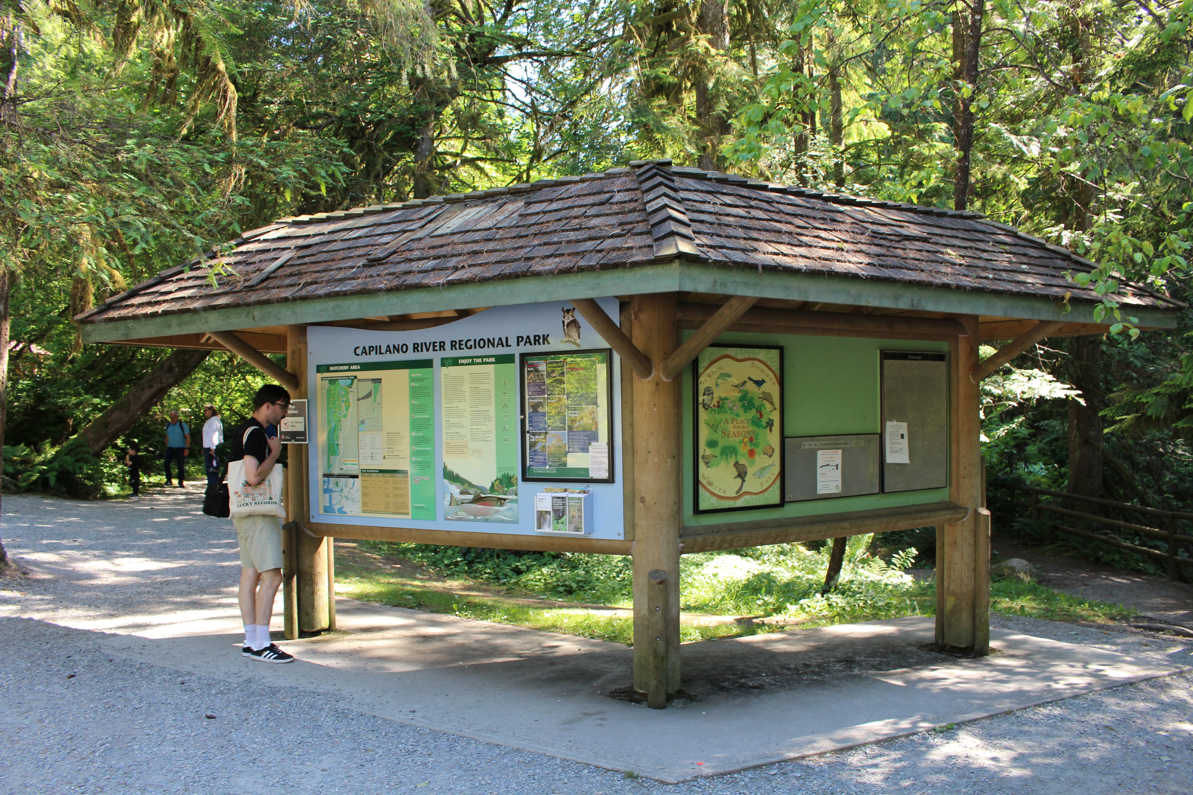Grouse Mountain y puente colgante Capilano - Imagen 3