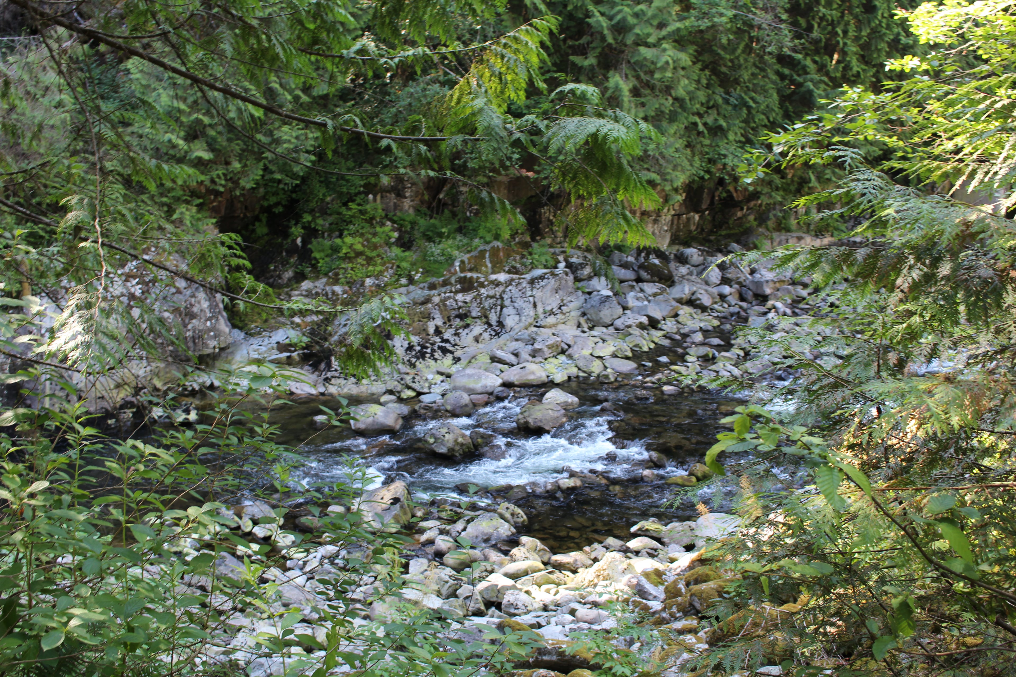 Grouse Mountain y puente colgante Capilano - Imagen 4