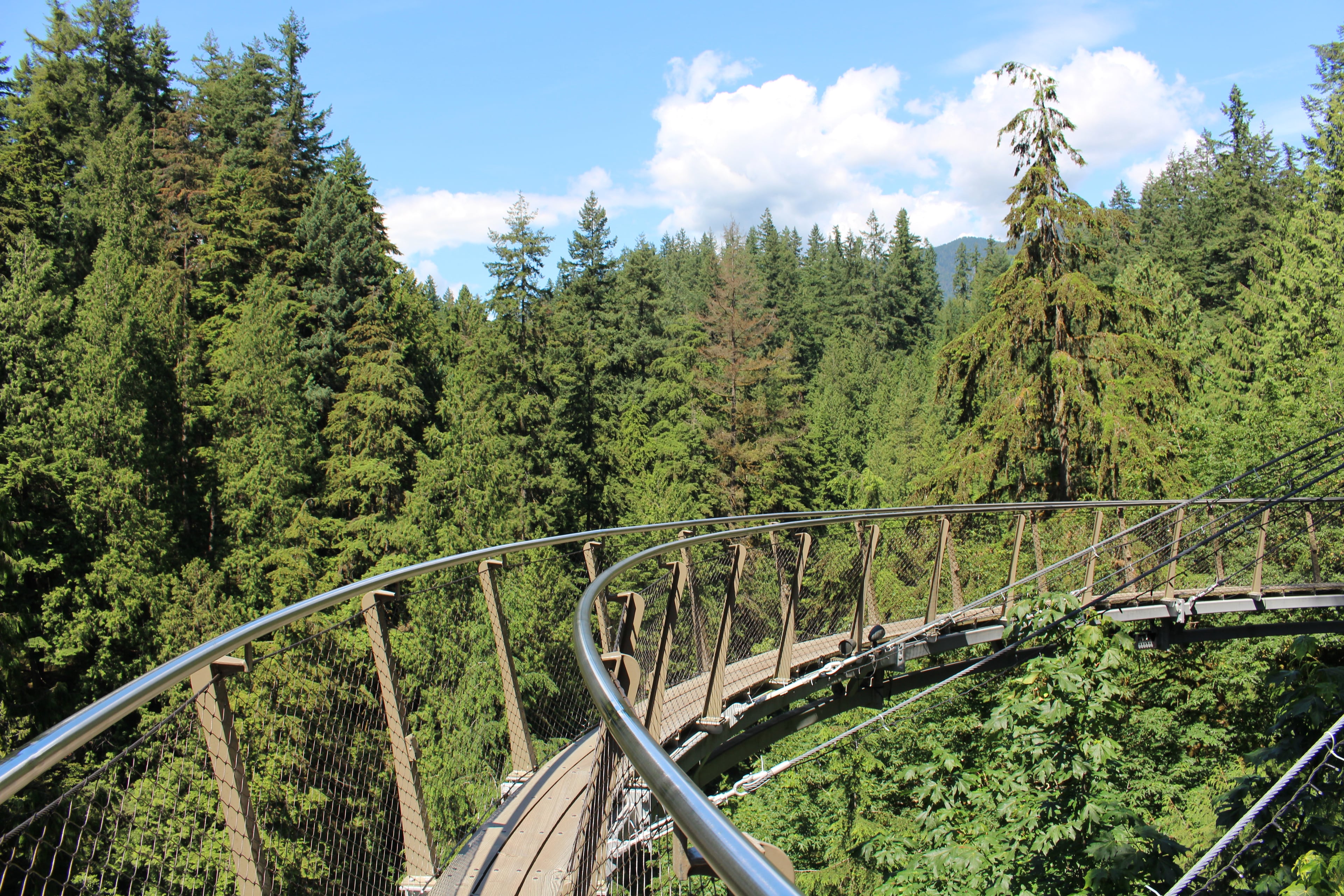 City tour y Puente Colgante de Capilano - Imagen 4