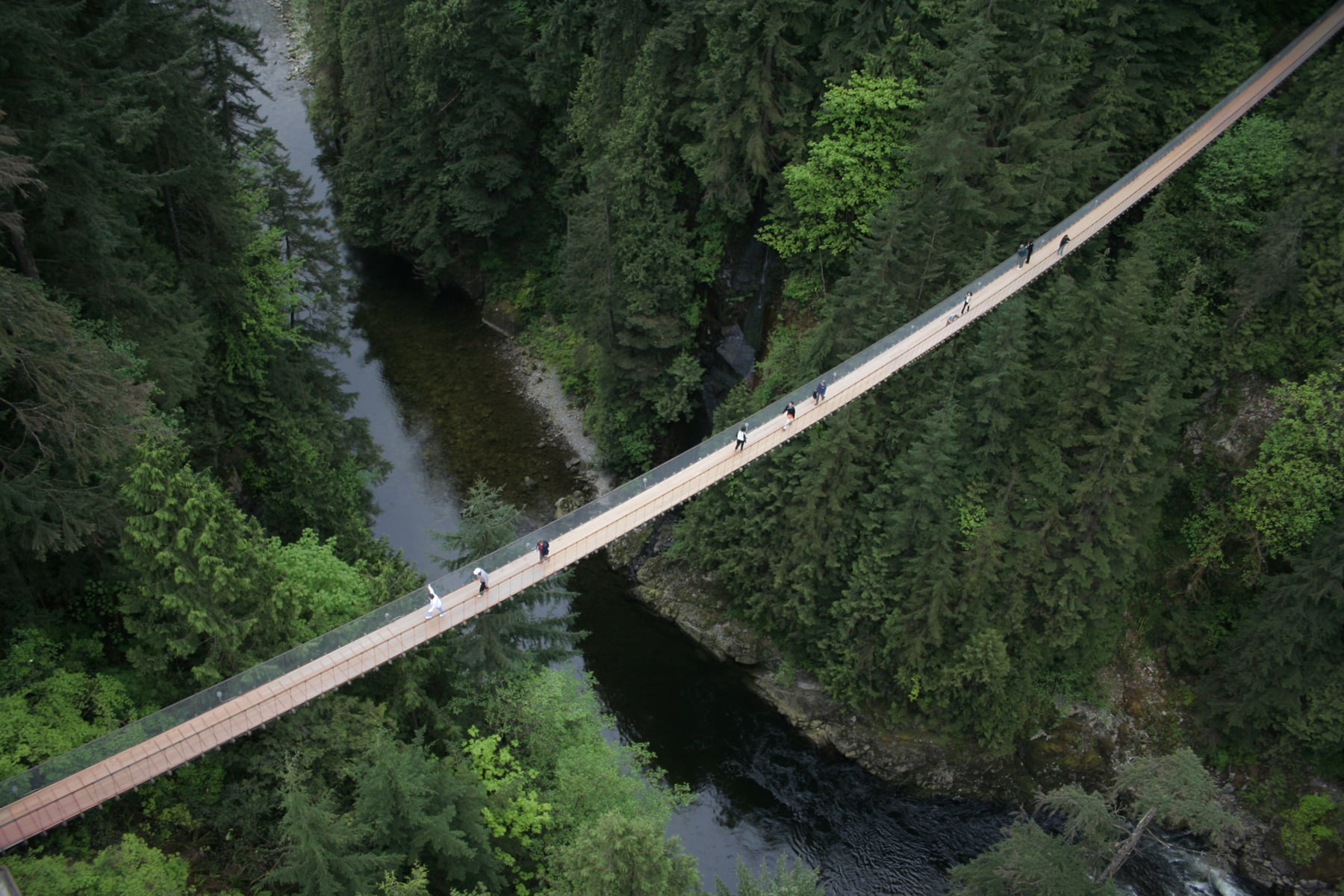 City tour y Puente Colgante de Capilano - Imagen 2