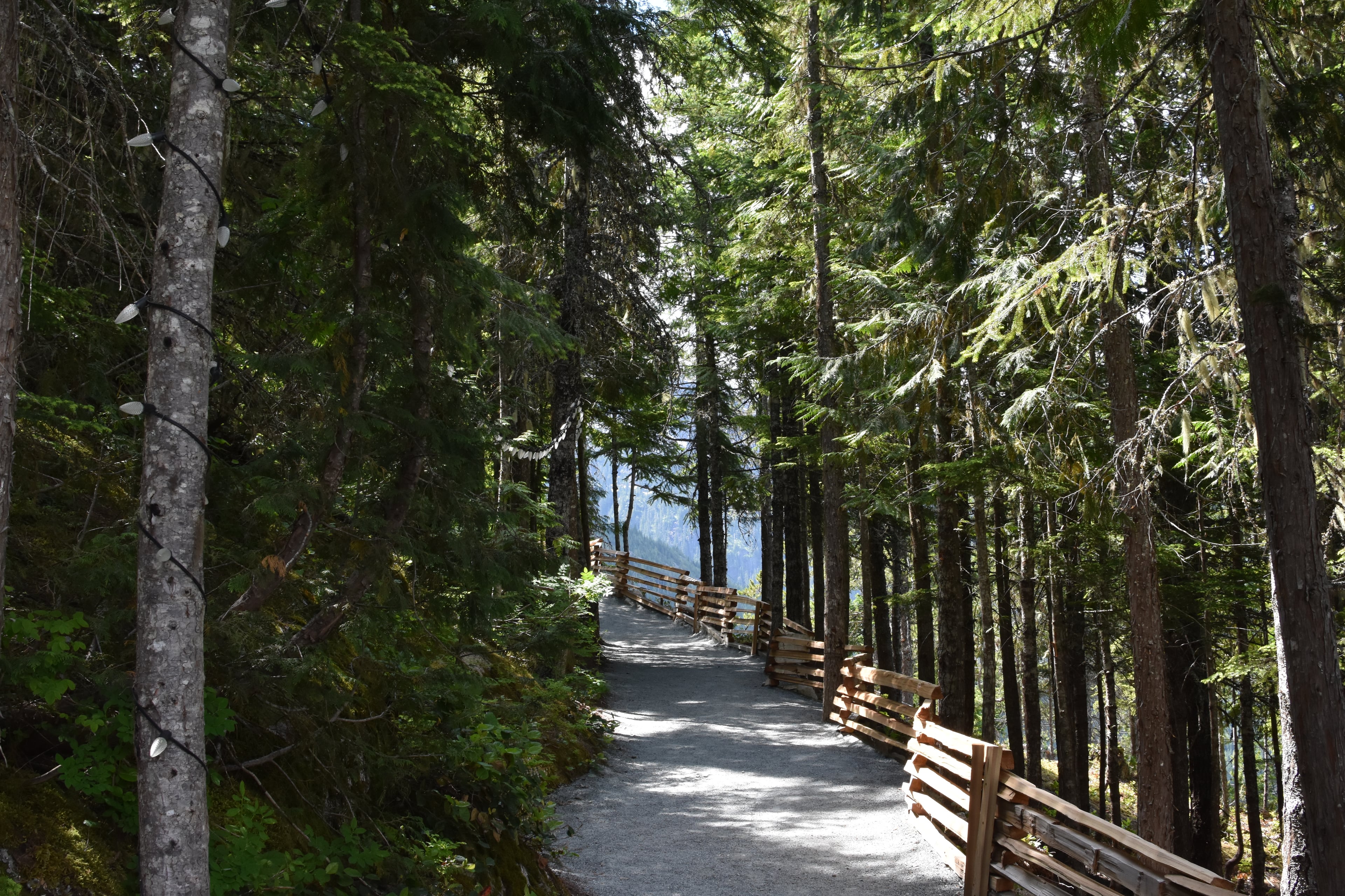 Whistler y Sea to Sky Gondola: día entero - Imagen 2