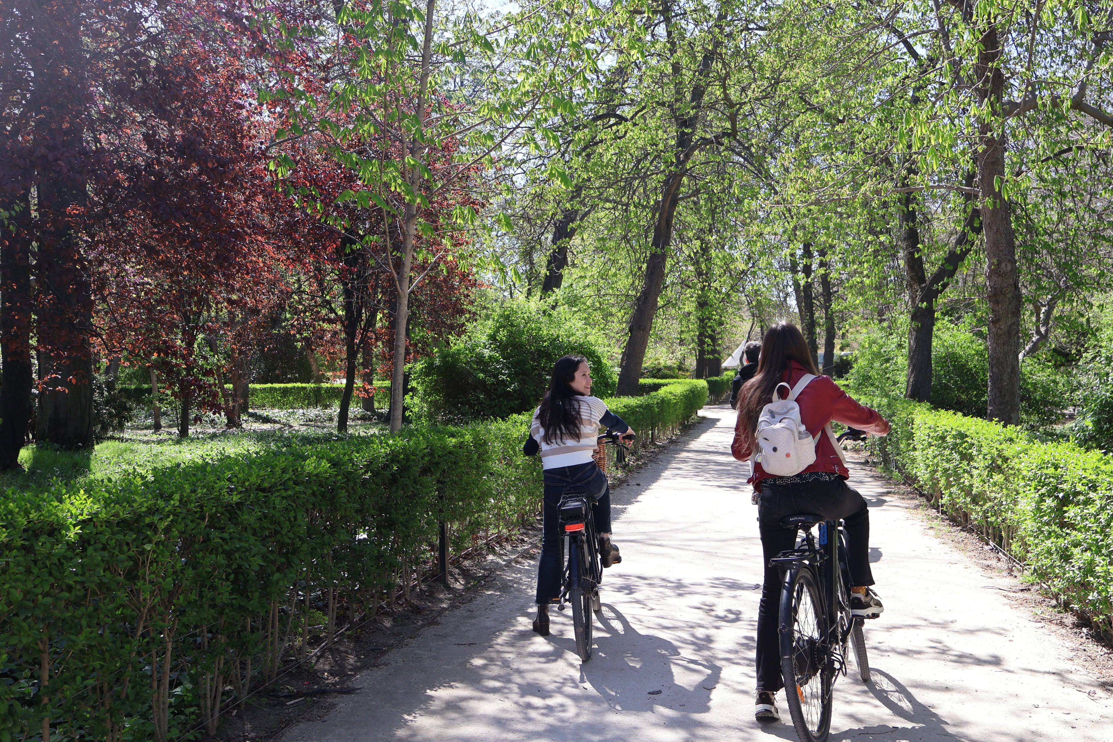 Retiro Park E-Bike Tour, Small Group - Imagen 3