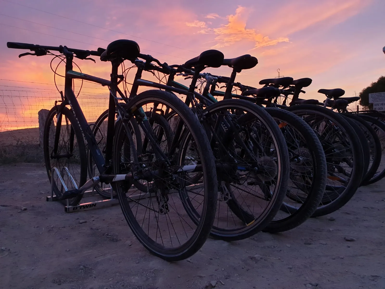 Tour en bicicleta por Sevilla - Imagen 2