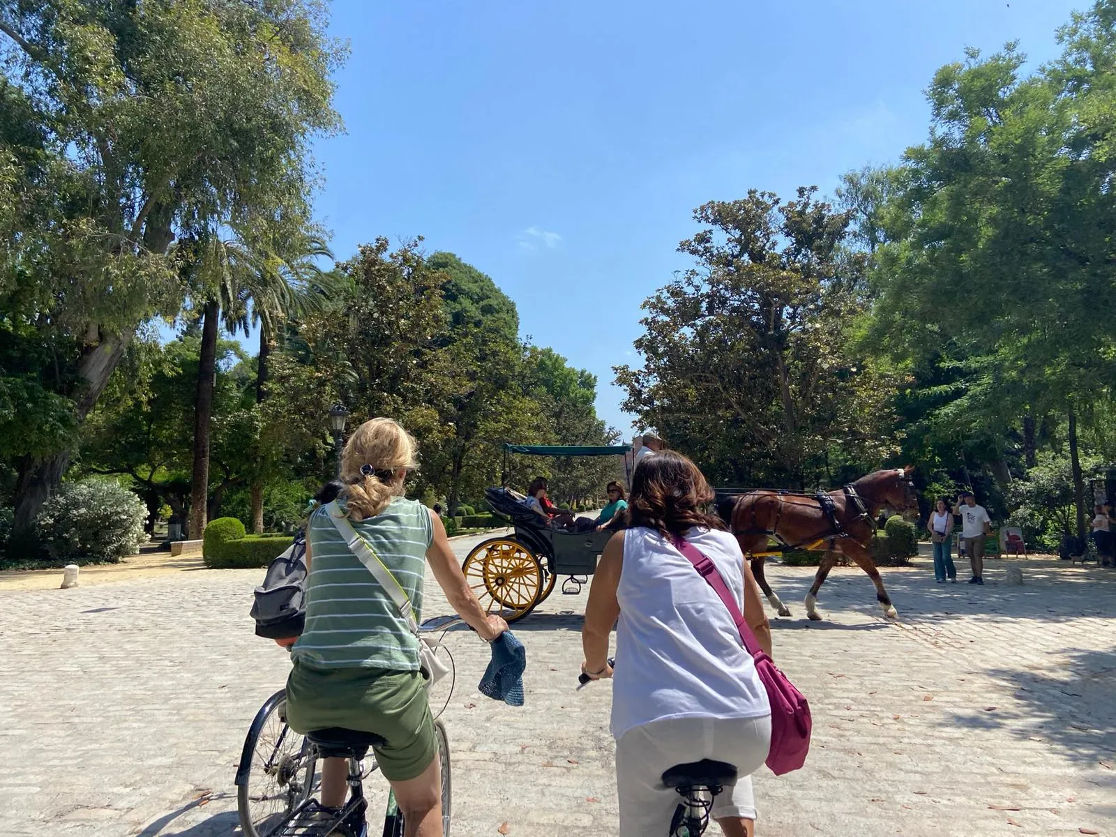 Tour en bicicleta por Sevilla - Imagen 4