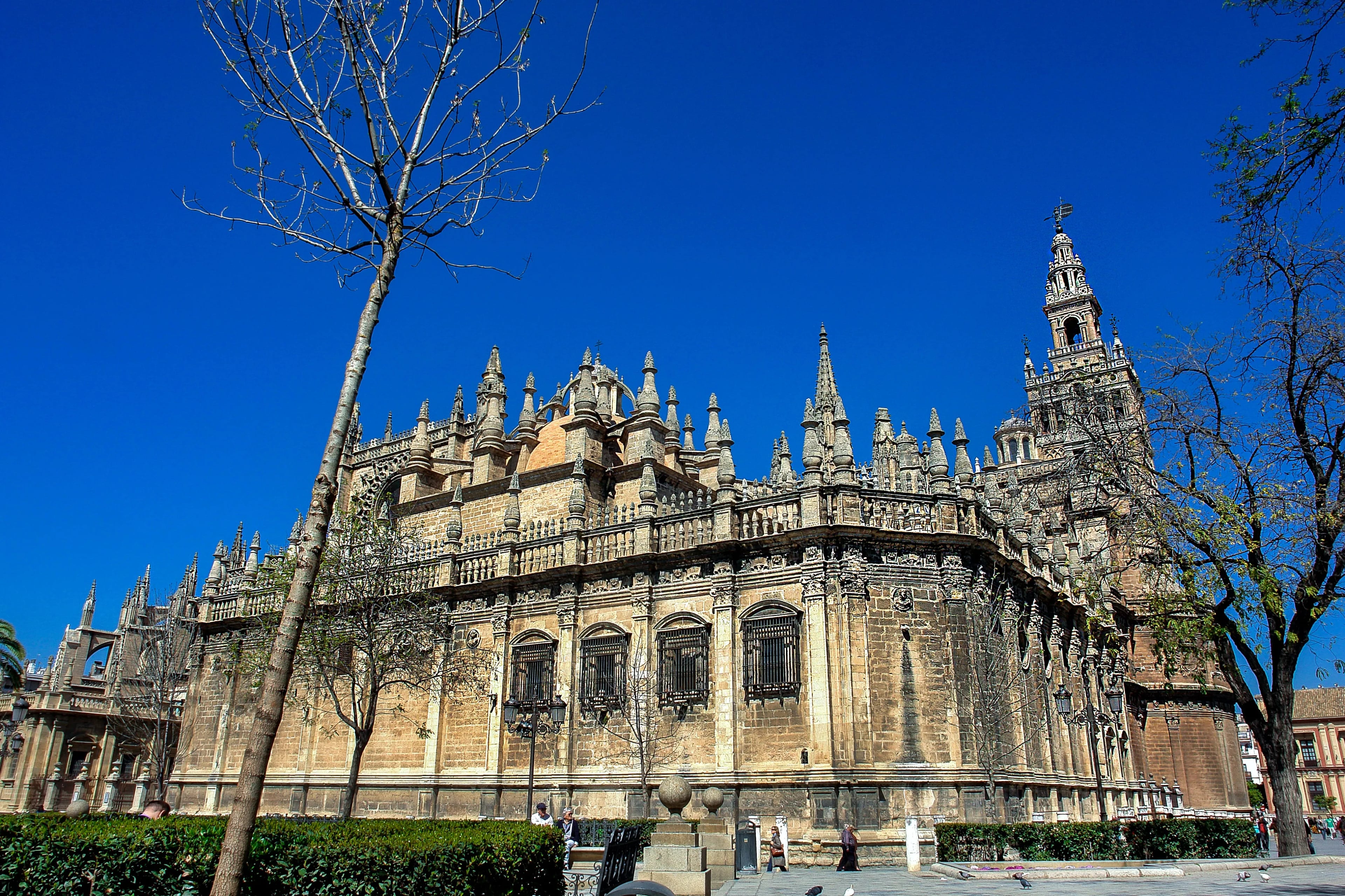 Seville Cathedral, Giralda and Alcázar - Imagen 3