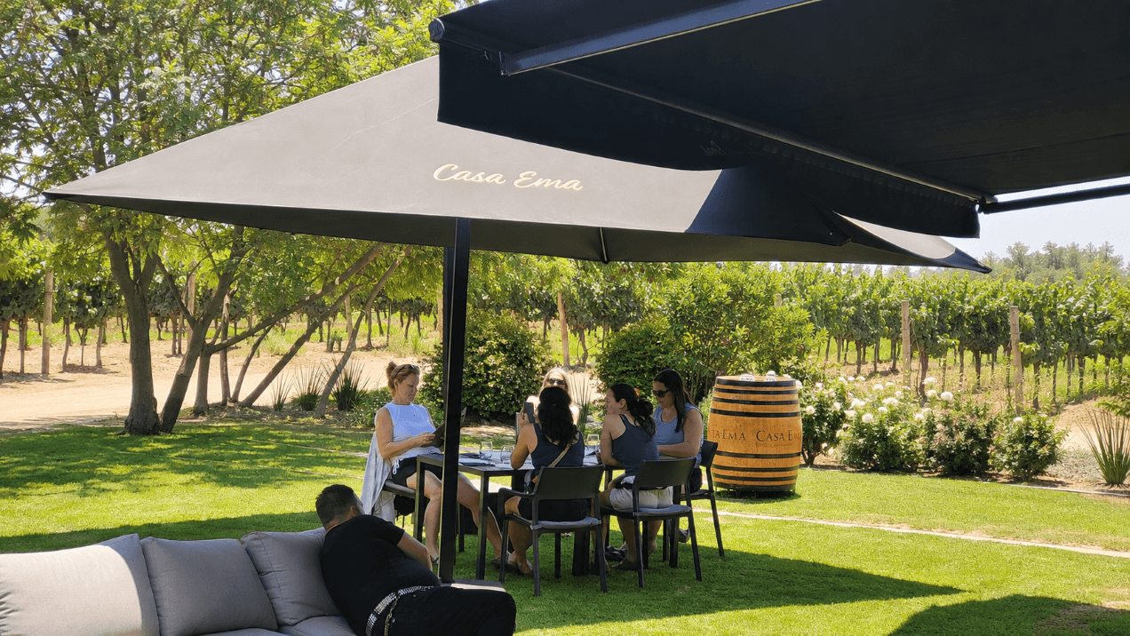Santa Ema Vineyard - Imagen 2