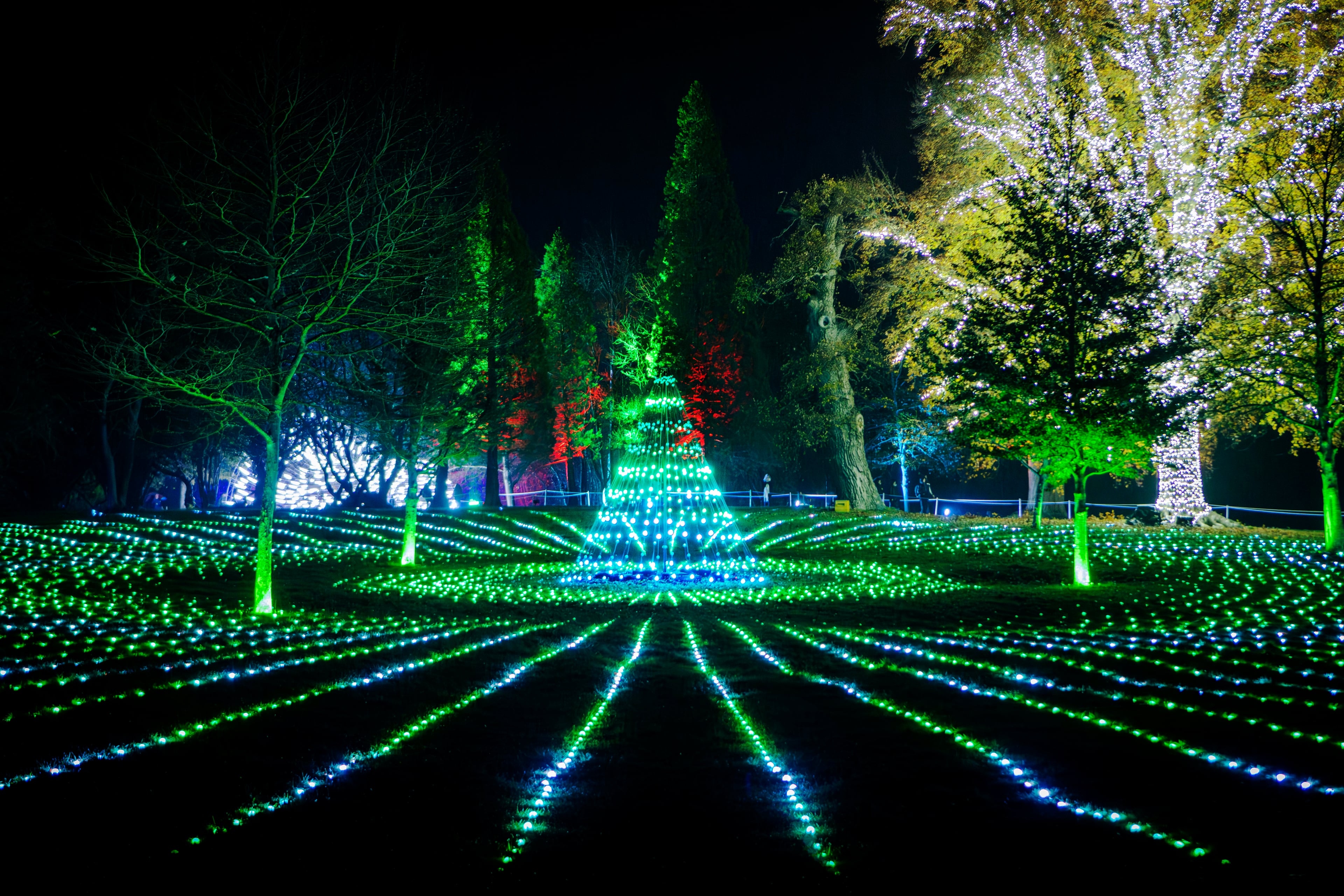 Natal no Palácio de Blenheim - Imagen 3