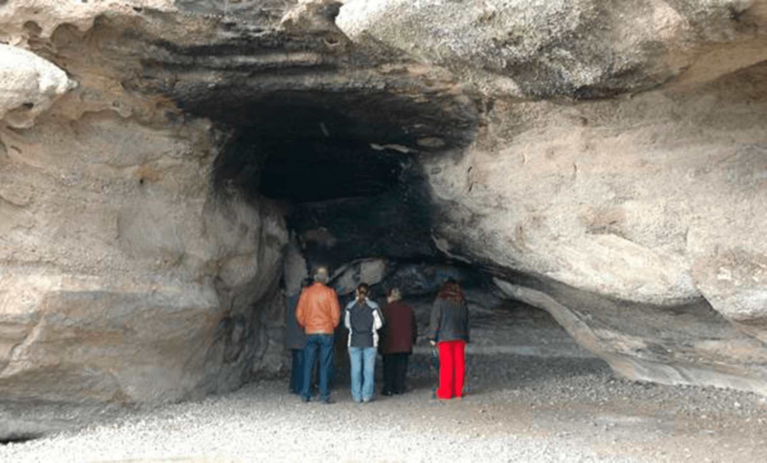 City tour de El Calafate y Punta Walichu - Imagen 2
