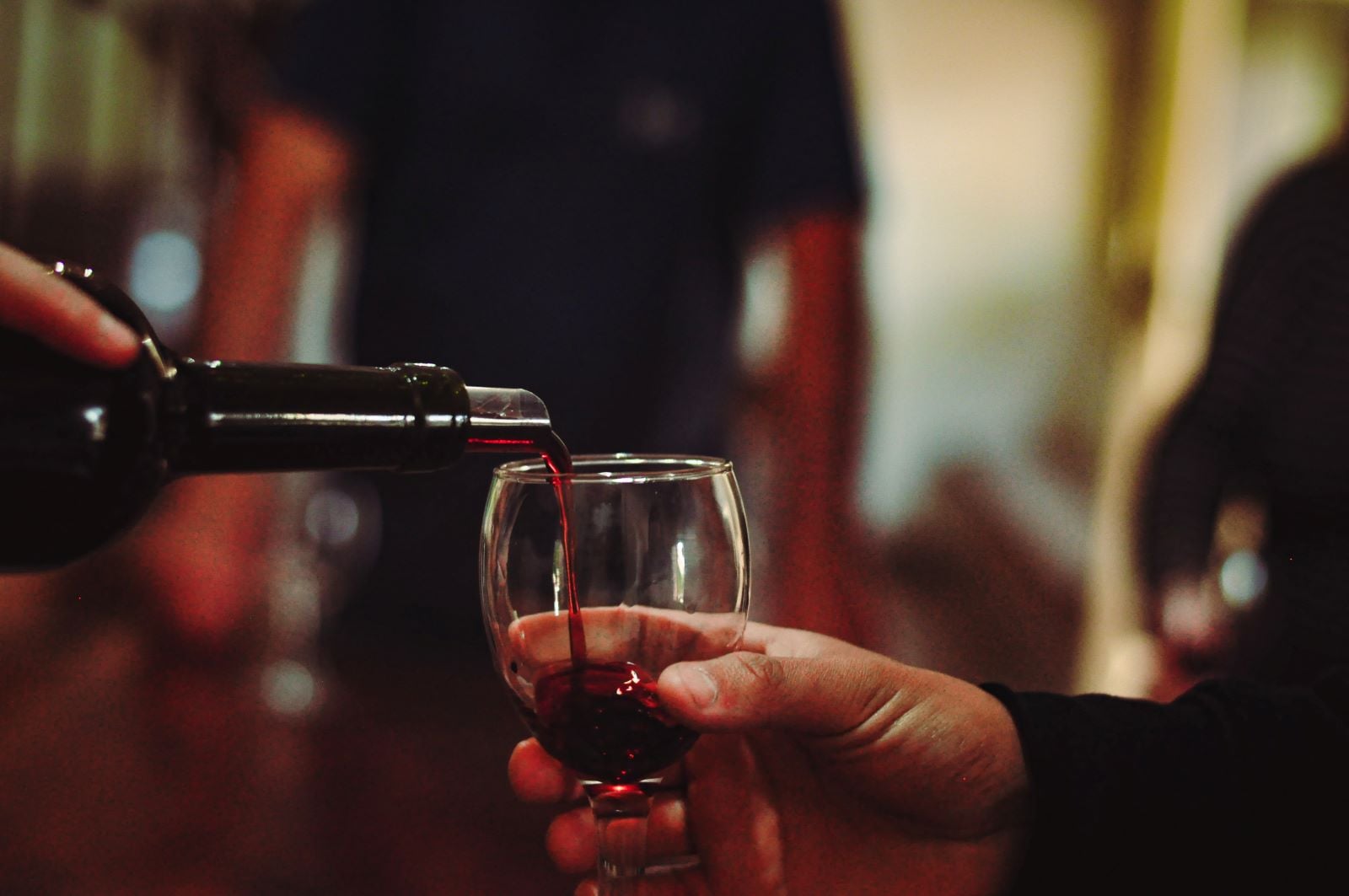 Ruta del Vino y Aceite de Oliva - Imagen 4
