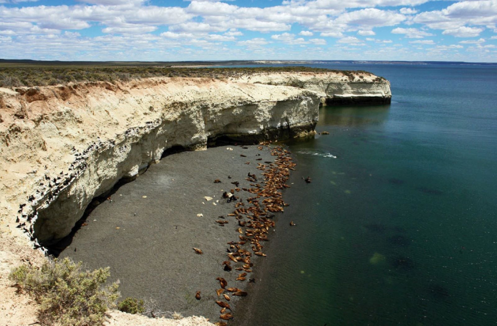 Excursão Cerro Avanzado - Imagen 3