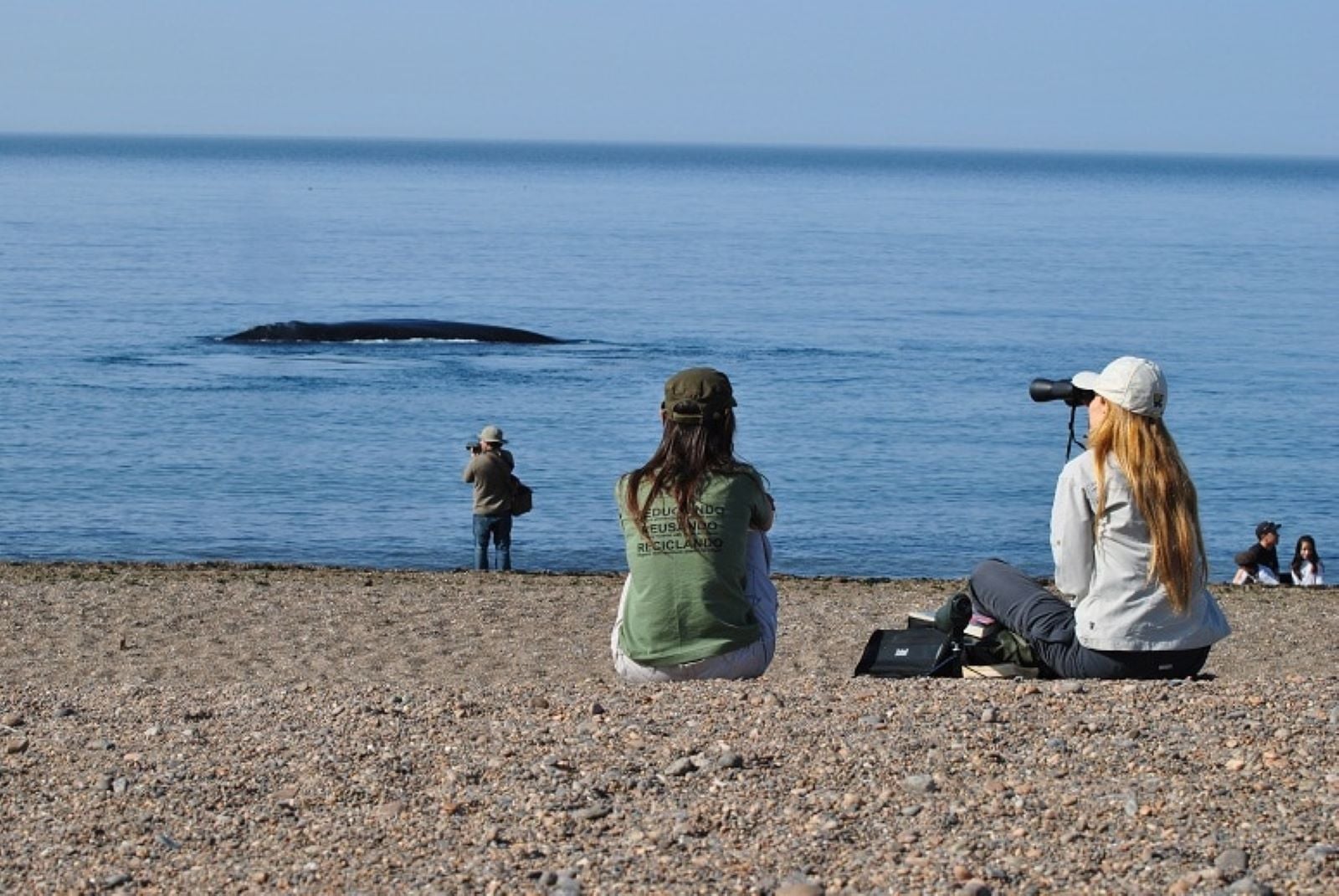 Doradillo Adventure: Trekking and Whales - Imagen 2