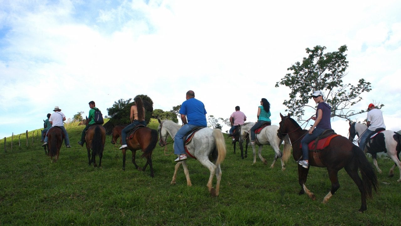 Passeio à Cavalo - Imagen 3