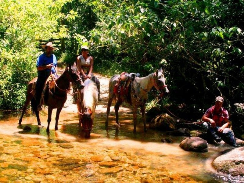 Passeio à Cavalo - Imagen 4