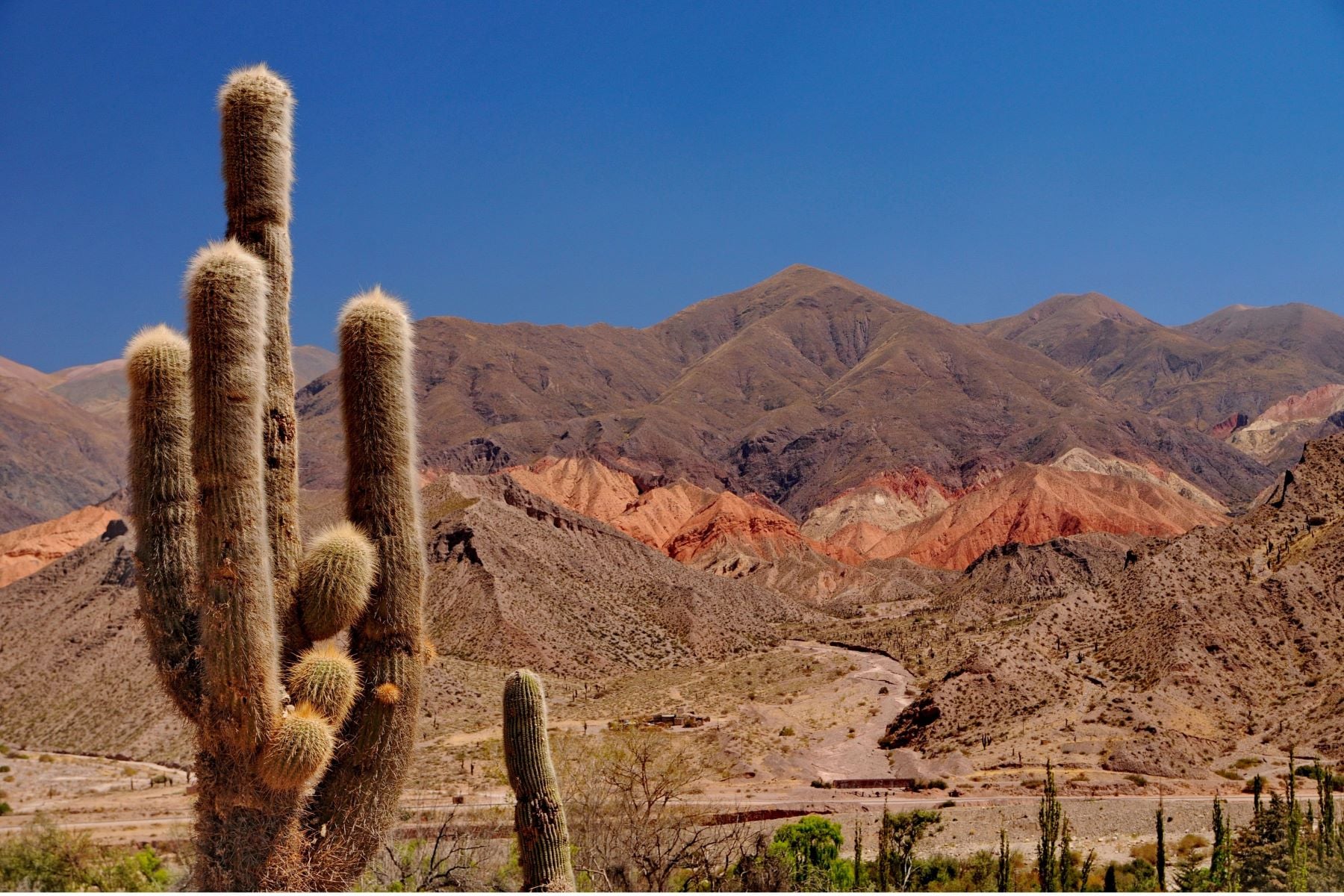 Cafayate y los Valles Calchaquíes - Imagen 2