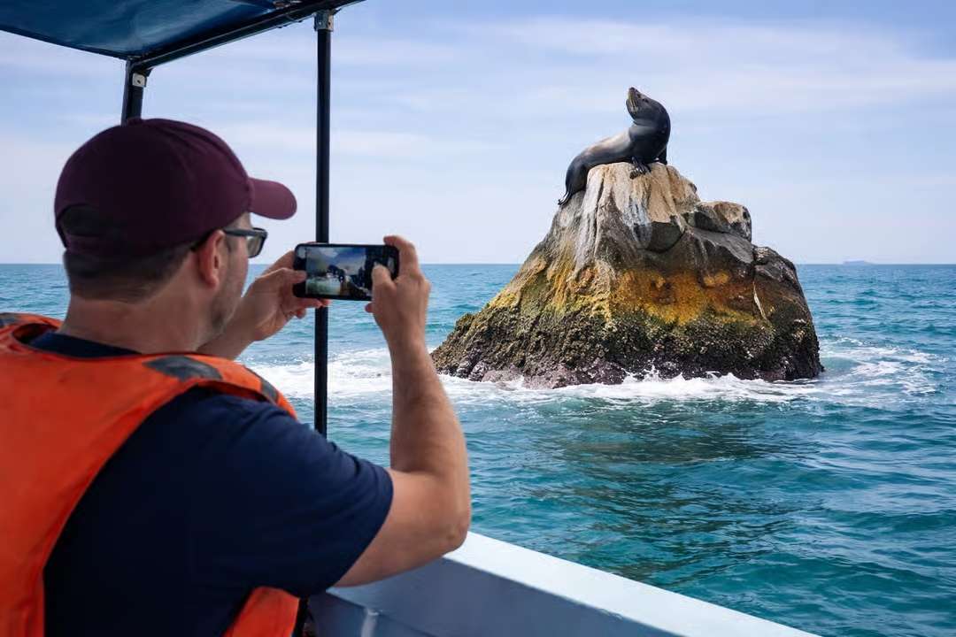Barco a El Arco y Playa de los Enamorados - Imagen 4