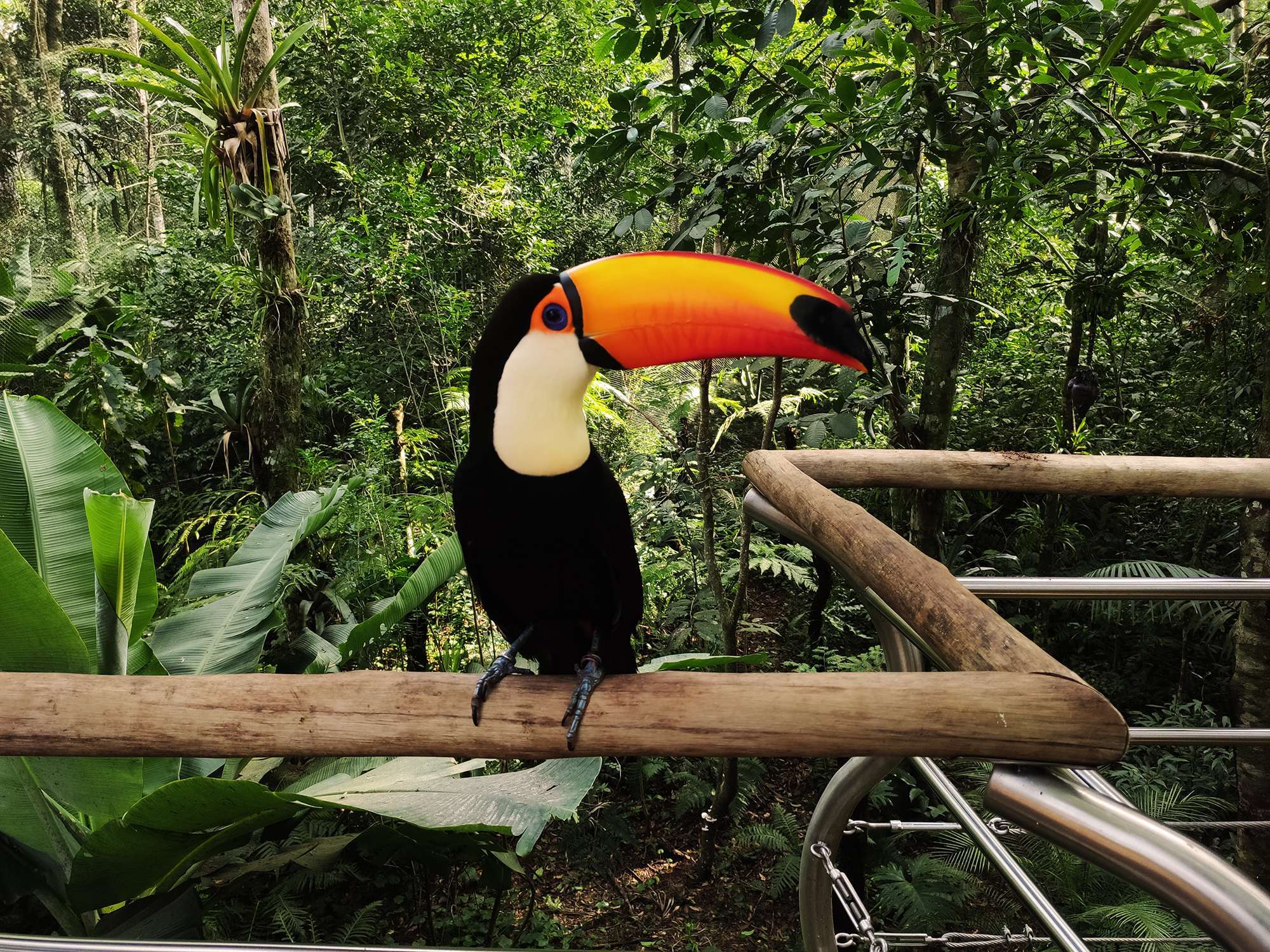 Parque de Aves - Ticket y transporte - Imagen 4