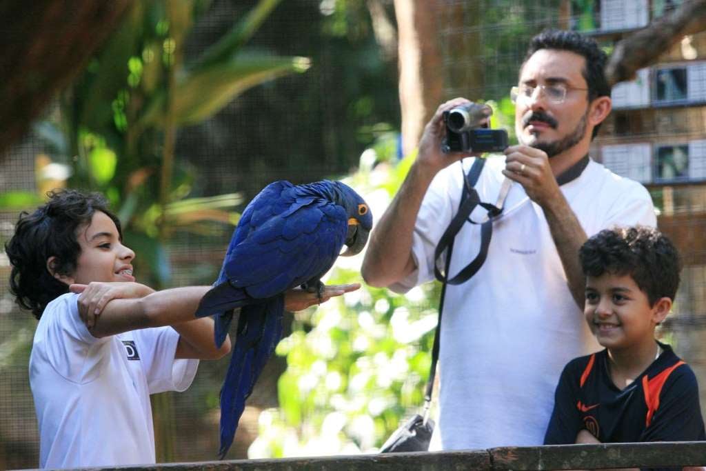 Parque de Aves - Ticket y transporte - Imagen 2