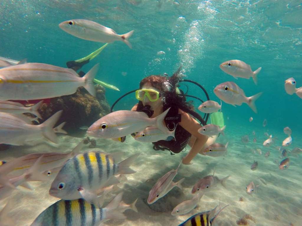 Maracajau y Arrecife Parrachos - Imagen 2