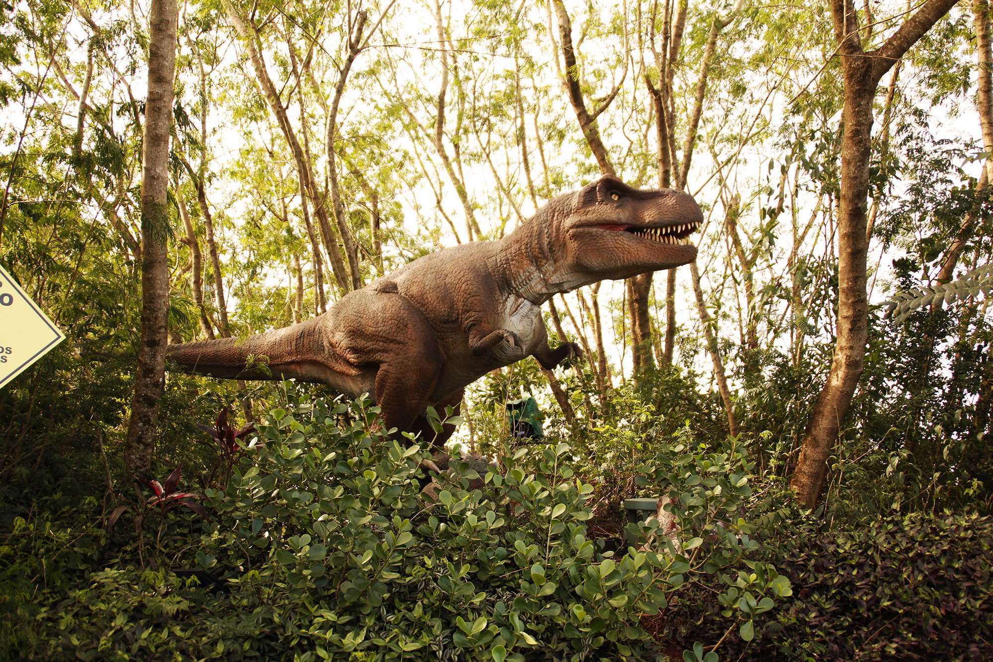 Combo Tour: Iguassu Falls and Dinosaur Park - Imagen 4